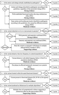 Multimodal Analysis of SCN1A Missense Variants Improves Interpretation of Clinically Relevant Variants in Dravet Syndrome